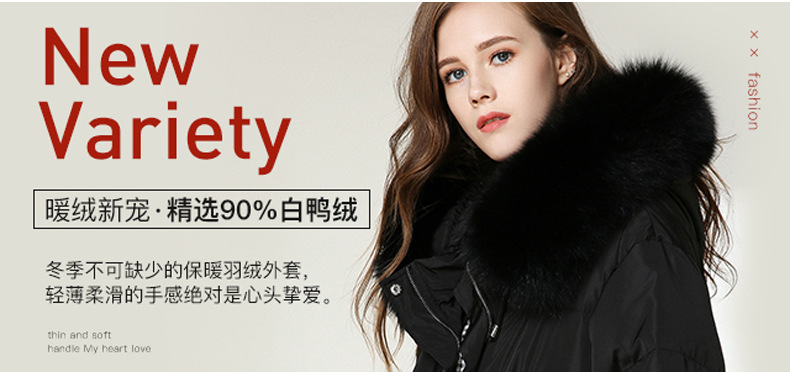 未標(biāo)題-1_02