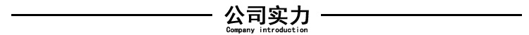 公司實力