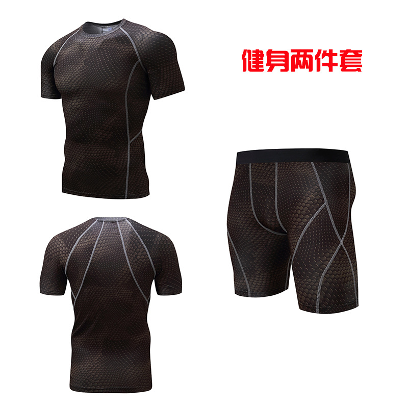 金龍紋