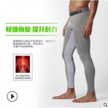 新款運動褲男 籃球跑步壓縮緊身健身褲 戶外運動爆款彈力速干褲