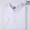 商務t恤男士短袖polo衫純棉翻領體恤夏季男裝休閑青中年爸爸夏裝