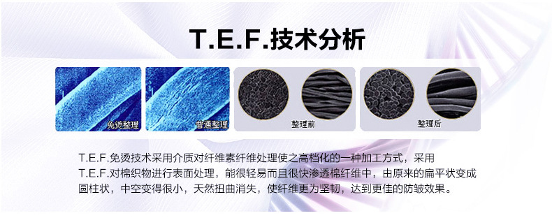 技術分析
