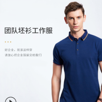 polo衫男定制印字logo 企業(yè)工作服棉 短袖男士t恤定制文化衫批發(fā)