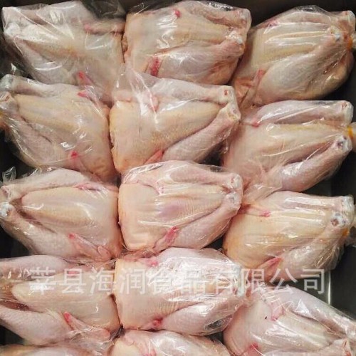 30只西裝雞 小西裝雞 烤雞原料 調理雞痞子