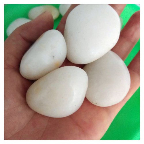 辰洋供應(yīng)白石子 陜西裝飾用雨花石 園藝白石子