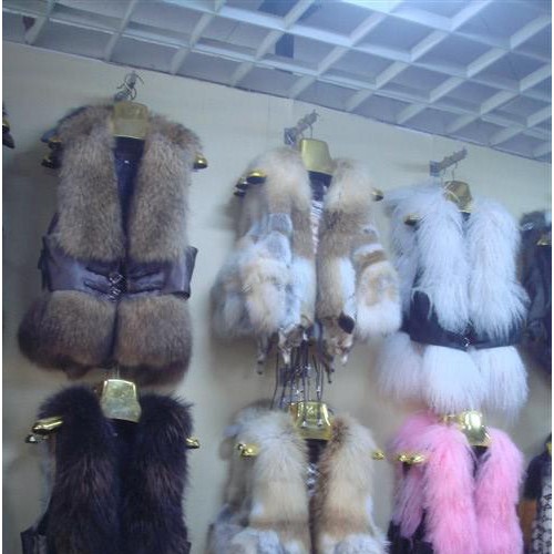 供應妃皇艾06皮衣