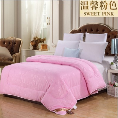 波司登 蠶絲被 廠家批發跑江湖展銷會 冬被加厚 跑江湖擺地攤團購 禮品被 贈品被子被芯春秋被