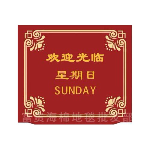 專業(yè)地毯 手工腈綸 電梯毯 定做LOGO 尺寸 迎賓地毯加厚