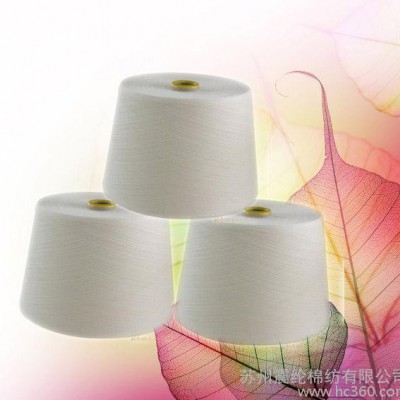 供應(yīng)震綸G100 40sAAJ天絲，G100 40支紗