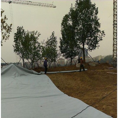 致辰牌250g 鄭州專營滌綸短纖無紡土工布