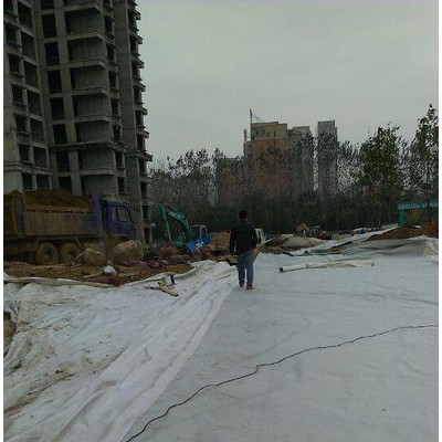 無紡滌綸200g養護土工布透水護坡