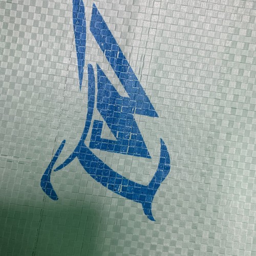 中原  噸帶編織布 滌綸編織布 大量供應(yīng)