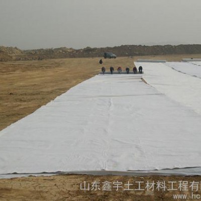 山東鑫宇150-800g短絲滌綸土工布