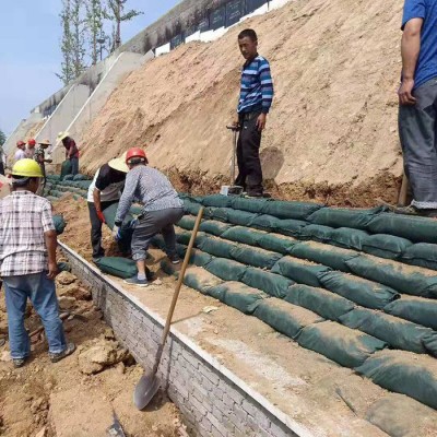 鑫宇 綠化河道護坡生態袋 綠色抗紫外線滌綸植生袋 生態袋