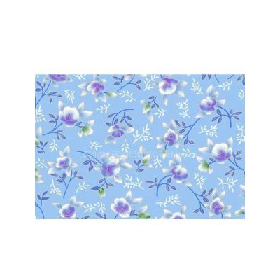 熱轉移印花布/滌綸熱