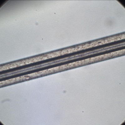 滌綸保暖纖維 150D 75D