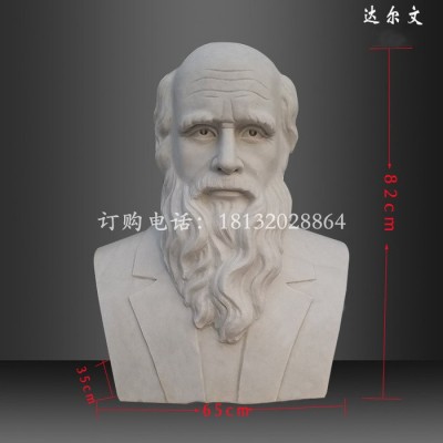 達爾文胸像石雕，名人石雕