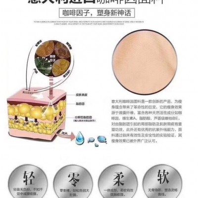 麥西貝爾 文胸 文胸批發 **