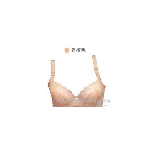 纖姿婍2015調(diào)整型聚攏側(cè)收副乳女士文胸竹碳纖維乳罩8193