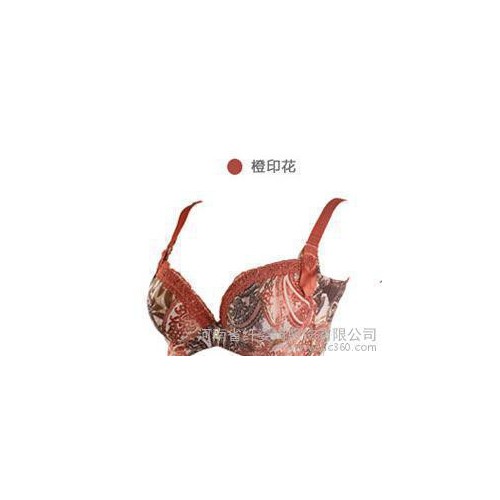 聚攏調(diào)整型 女士文胸B杯 蕾絲邊性感嫵媚 秋冬季四背扣爆款 8163B