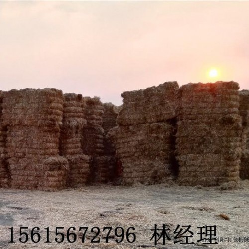 自產(chǎn)自銷(xiāo)無(wú)紡布液壓打包機(jī) 高效廢品壓縮機(jī) 材料選擇打包機(jī)