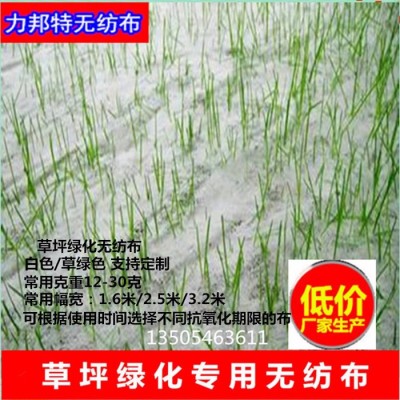 【城市綠化無紡布】山東低價 無紡布廠生產 丙綸紡粘布 草坪無紡布