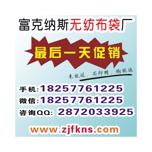 溫州 無紡布廣告袋定做 無紡布廣告袋批發 無紡布拉鏈袋 無紡布手提袋定做 杭州
