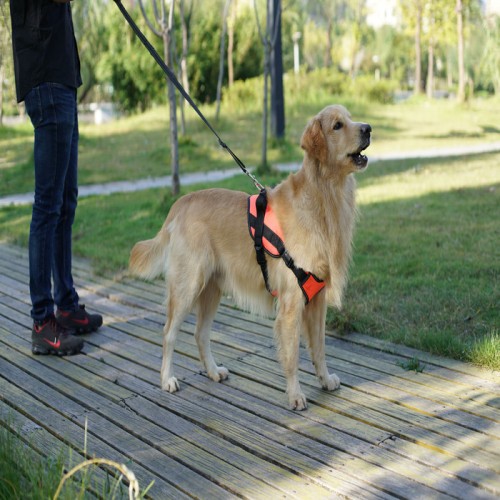 寵物小中大型犬胸背帶**防爆沖背心式狗狗牽引繩可調節狗繩項圈