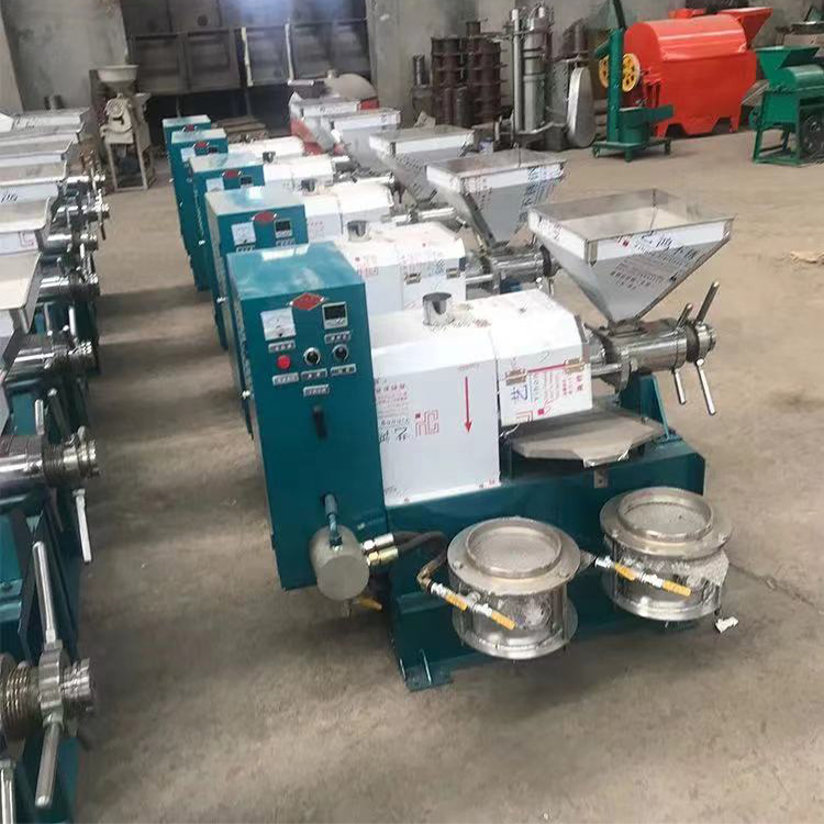 全自動螺旋榨油機 冷榨棉麻籽榨油機亞麻籽火麻榨油機