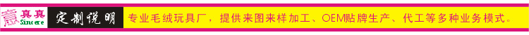 定制說明-3