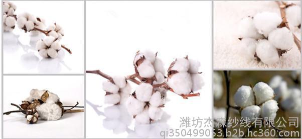 濰坊杰森紗線 18560691177