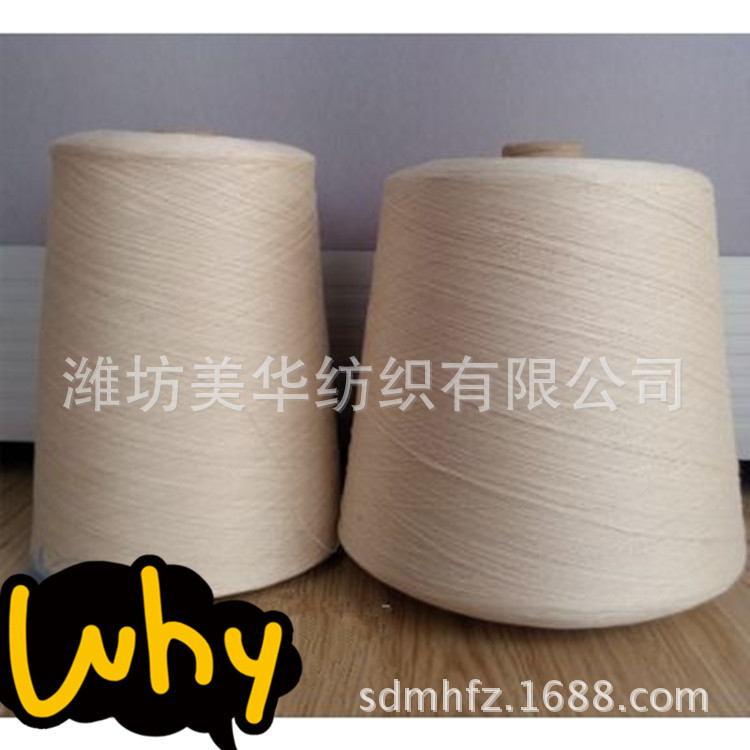 3_466_78711_500_456_副本
