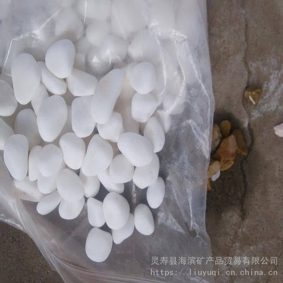 辰洋供應白石子 陜西裝飾用雨花石 園藝白石子