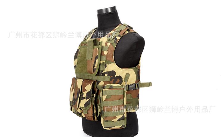 DPP_0077 (2)