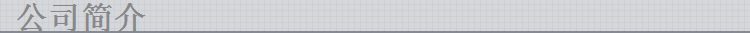 1公司簡介
