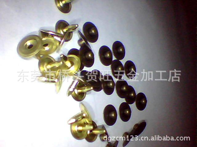 圖片 130