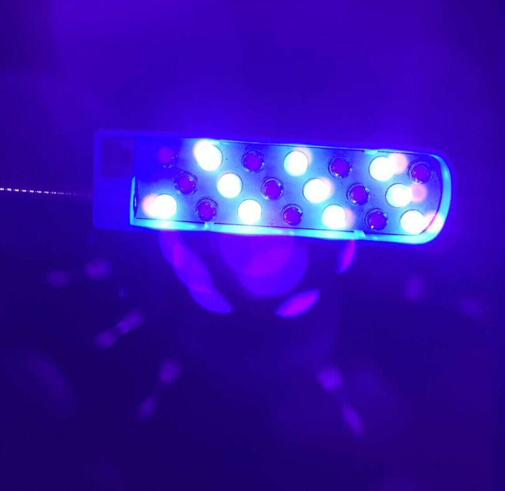 調(diào)色車燈02