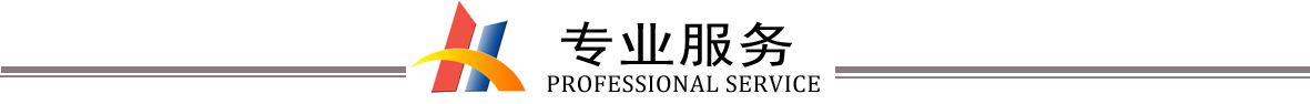 專(zhuān)業(yè)服務(wù)