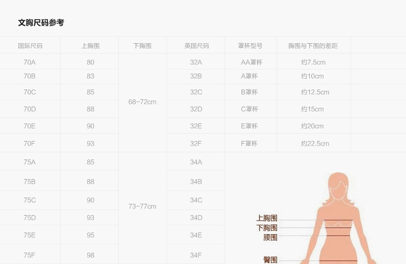 文胸尺碼圖