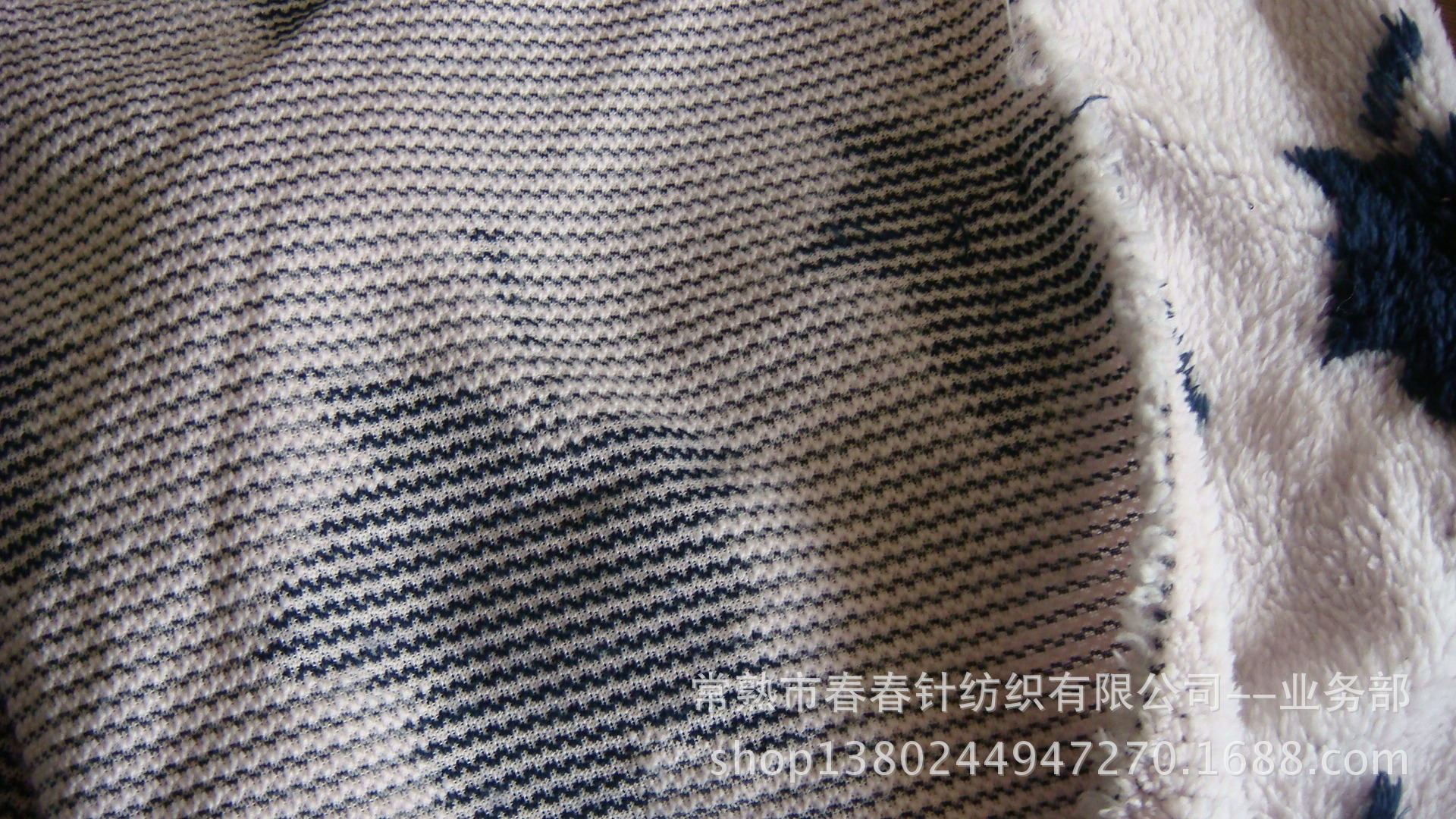 DSC06016