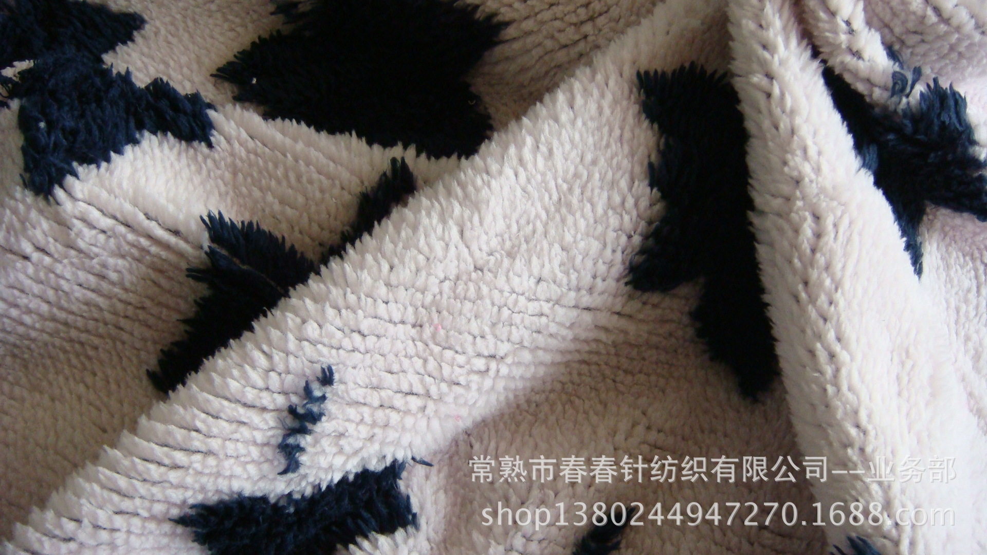 DSC06018
