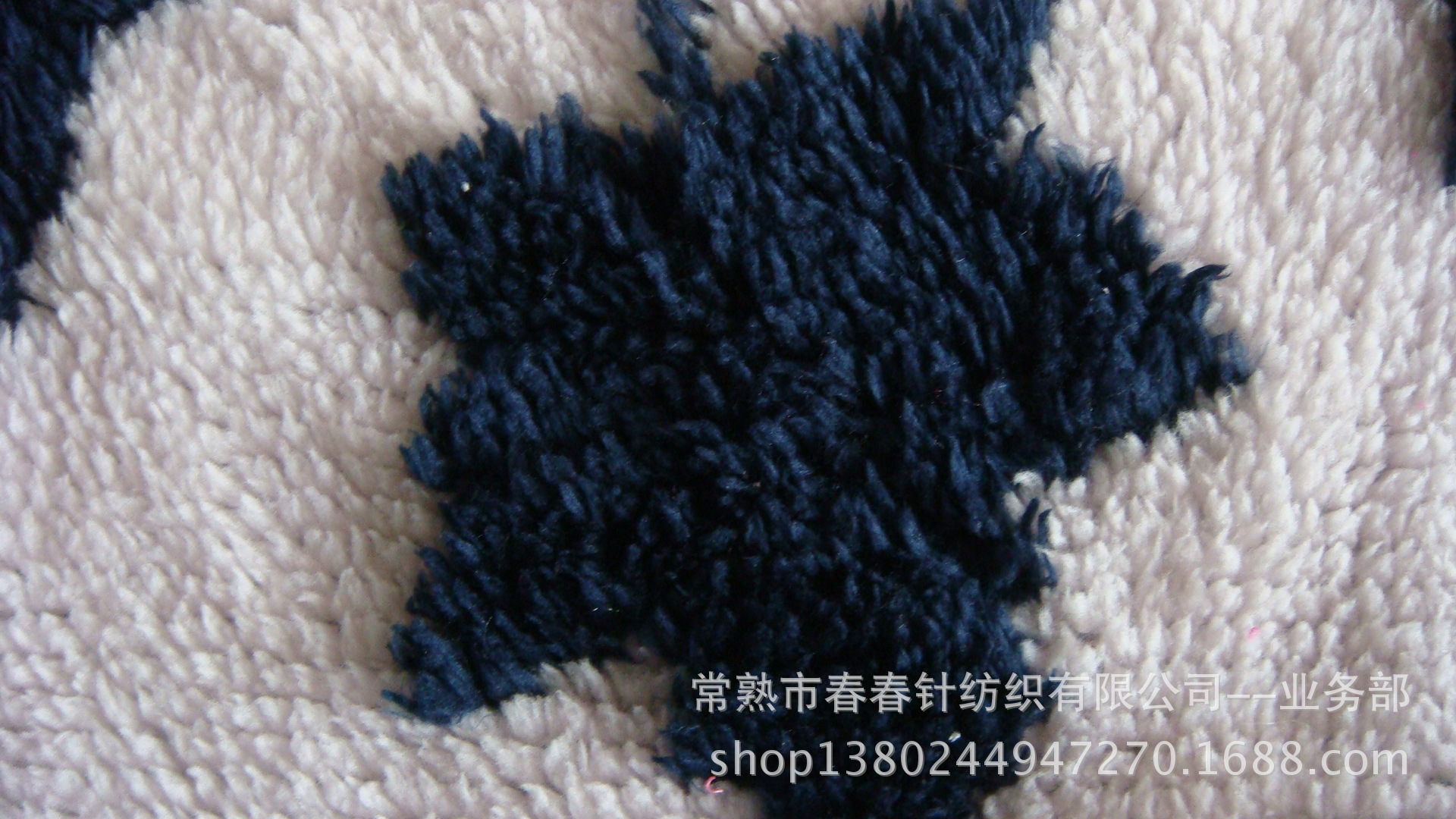DSC06010