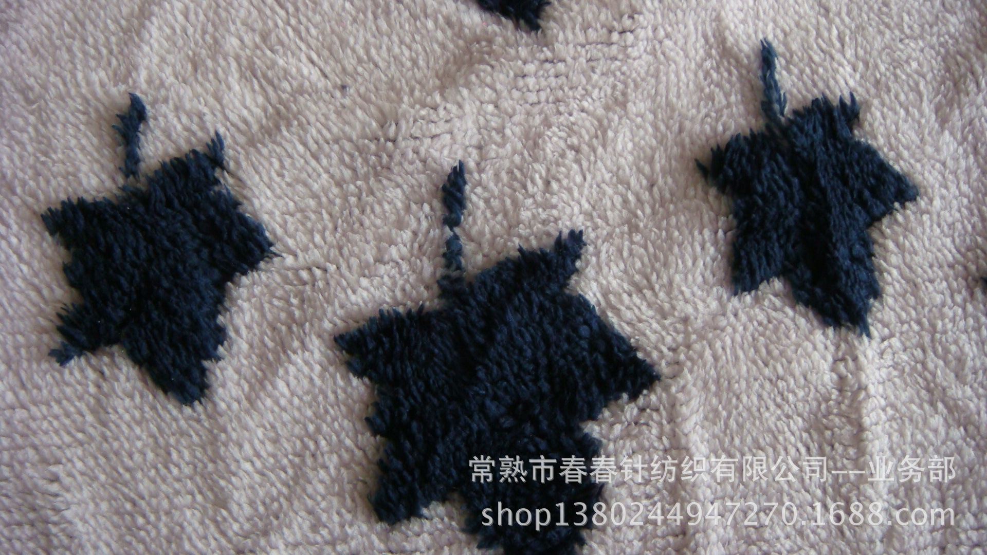 DSC06009