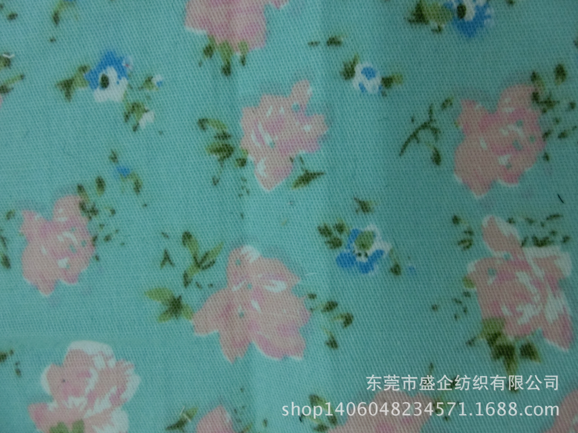 CIMG6972