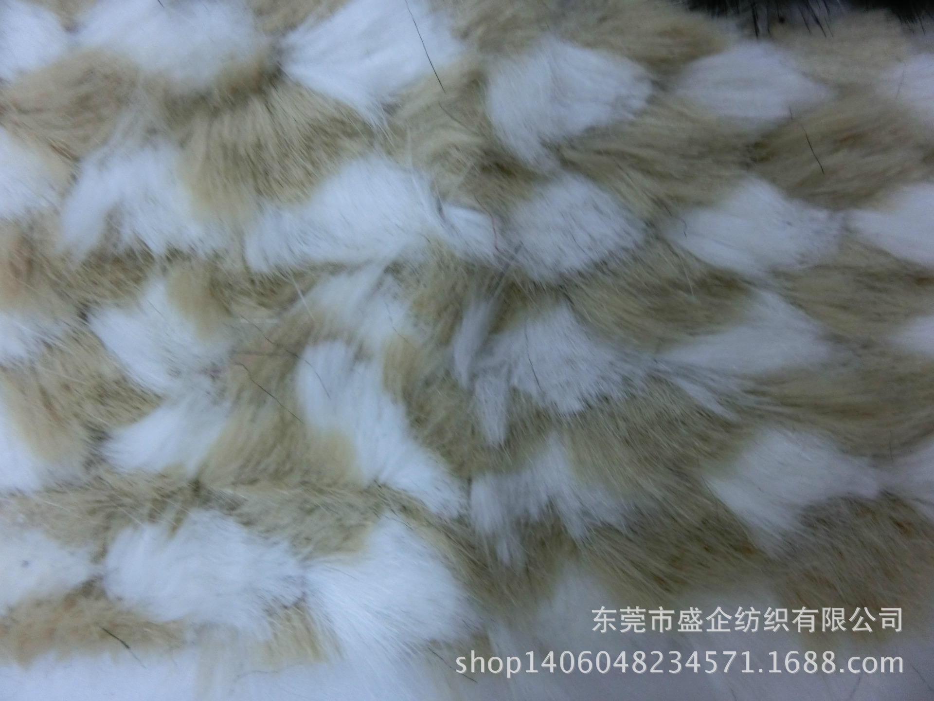 CIMG1454