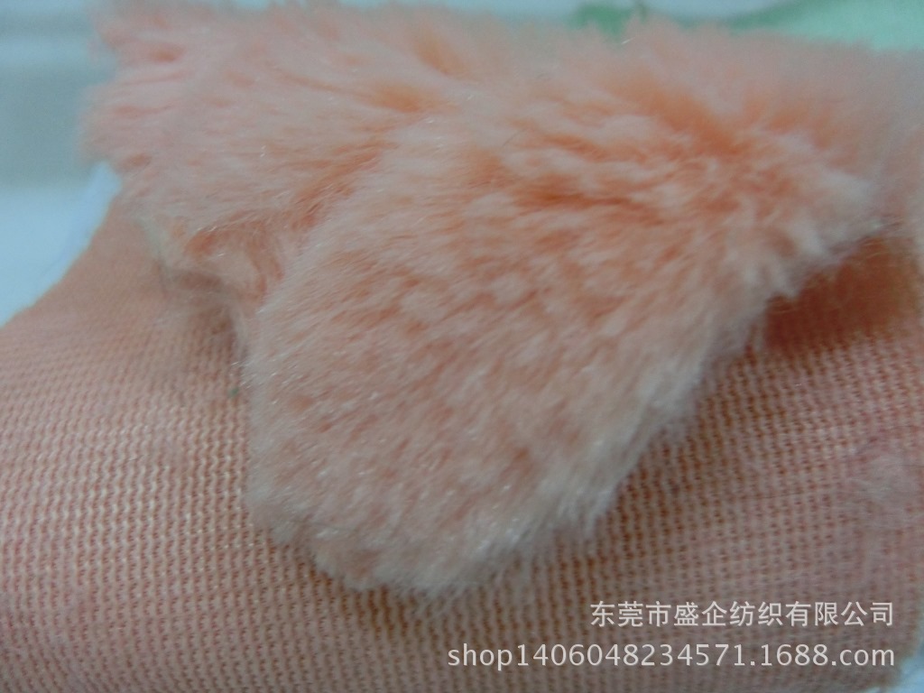 CIMG4250