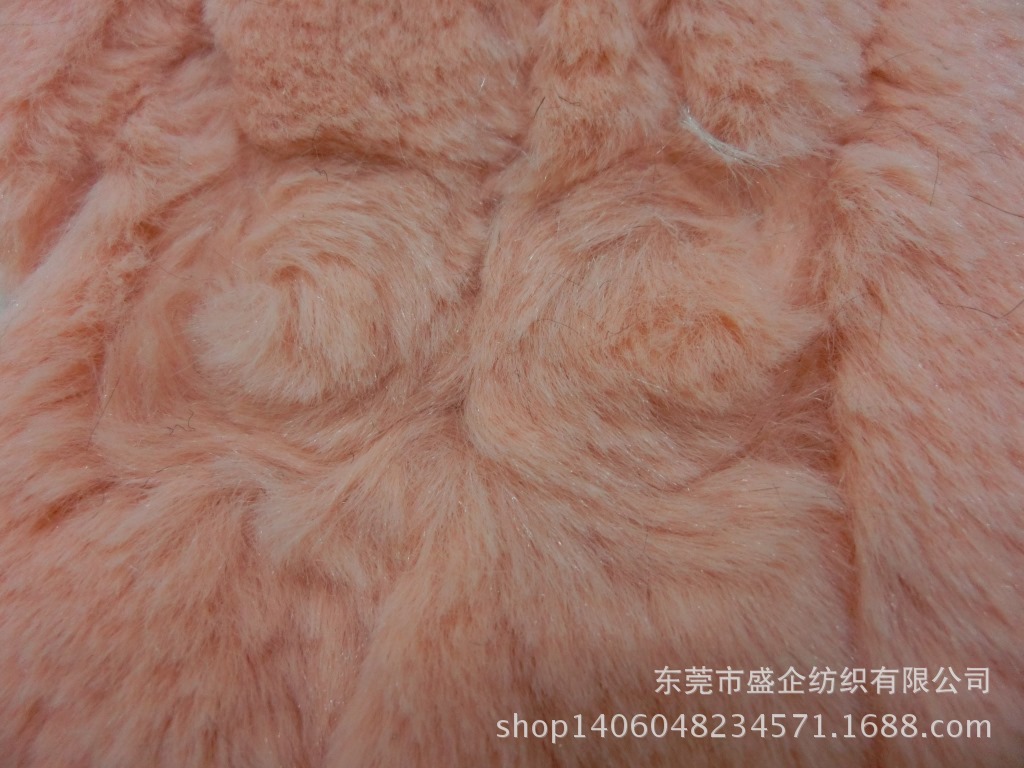 CIMG4234