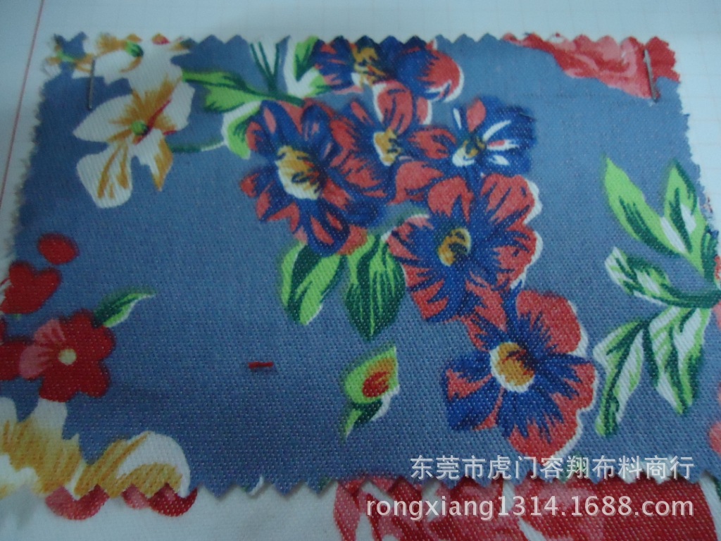 DSC06981