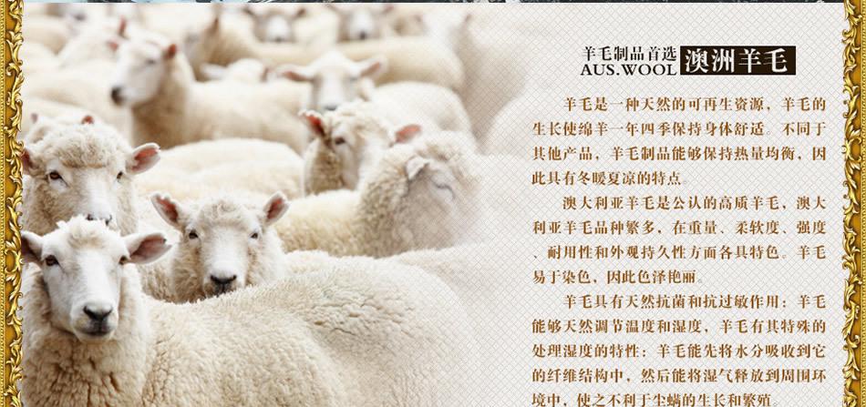 JSCX (2)