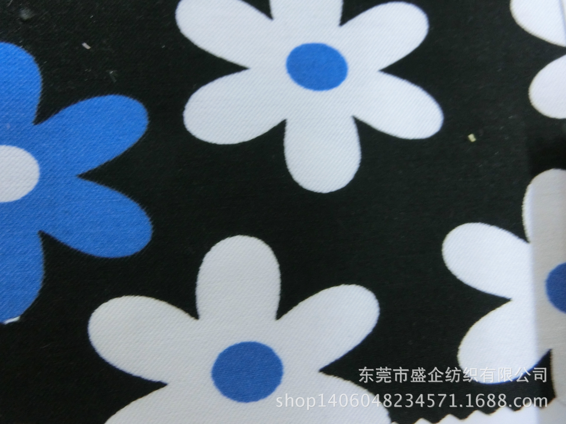 CIMG6981